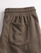 Shorts - Regular Fit - hellbraun